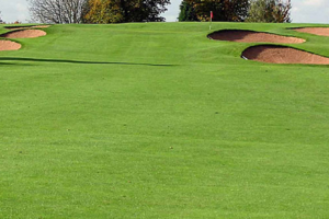 fine fescue golf course